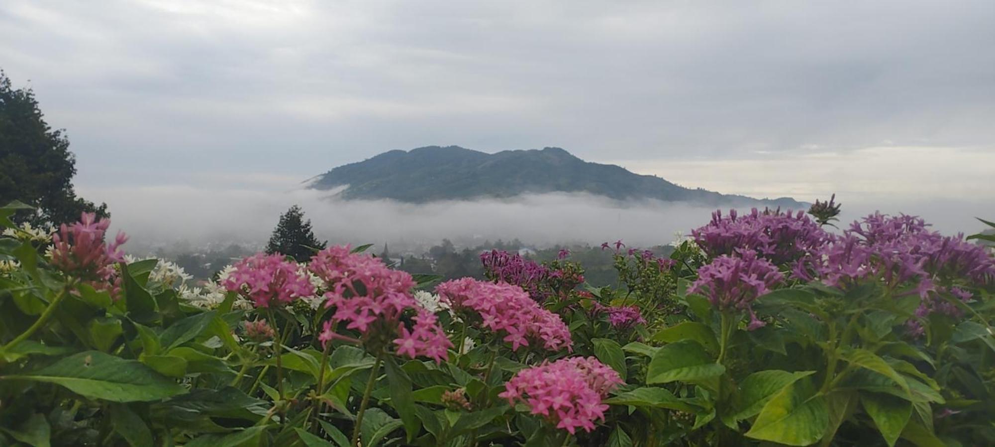 Homestay Chan Que Bảo Lộc Esterno foto
